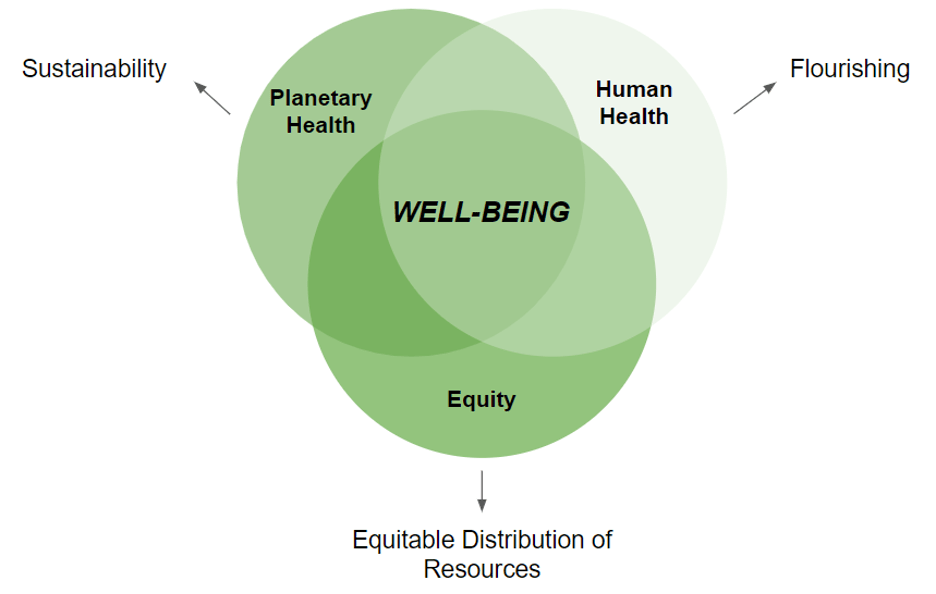 Circle chart with three overlapping circles that say Planetary Health, Equity, Human Health. They come together to form Well-Being. 